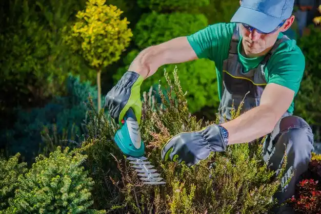 landscaping services Holtsville